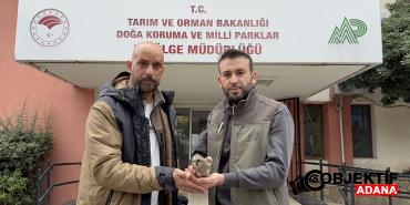 Adana039da-yarali-bulunan-kerkenez-tedaviye-alindi.jpg