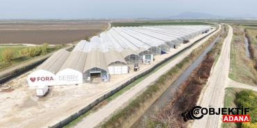 Yapay-zeka-destekli-topraksiz-serada-uretilen-cilek-7-ulkeye-ihrac.jpg