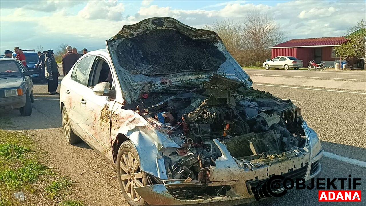Adana039da-otomobilin-carptigi-7-koyun-telef-oldu.jpg