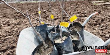 devlet-destegiyle-butun-arazisine-meyve-fidani-dikti-ylgq.jpg