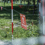 58-ulkede-mayin-alarmi-topraga-gomulu-katiller-ydza.jpg