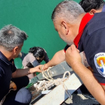 Adana039da-kopruden-nehre-dusen-kadini-itfaiye-ekipleri-kurtardi.jpg