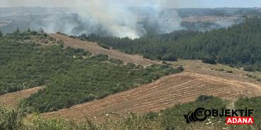 Adana039da-park-halindeki-aracta-cikan-yangin-ormanlik-alana-sicradi.jpg