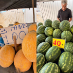 Kavun-ve-Karpuzun-En-Ucuz-Adresi-Adana-Oldu.jpg