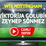 canli-yayin-zeynep-sonmez-viktorija-golubic-tenis-maci-bein-sports-canli-izle-28m8.jpg
