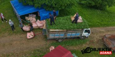 karadeniz-insani-yine-zekasini-konusturdu-zor-isi-kolaylastirdi-s6gk.jpg