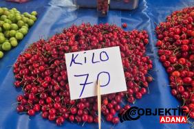 kirazdaki-bolluk-fiyata-yansidi-pazarda-70-liraya-satiliyor-d12s.jpg