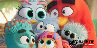 the-angry-birds-movie-3ten-ilk-fragman-yayinlandi-qurt.jpg