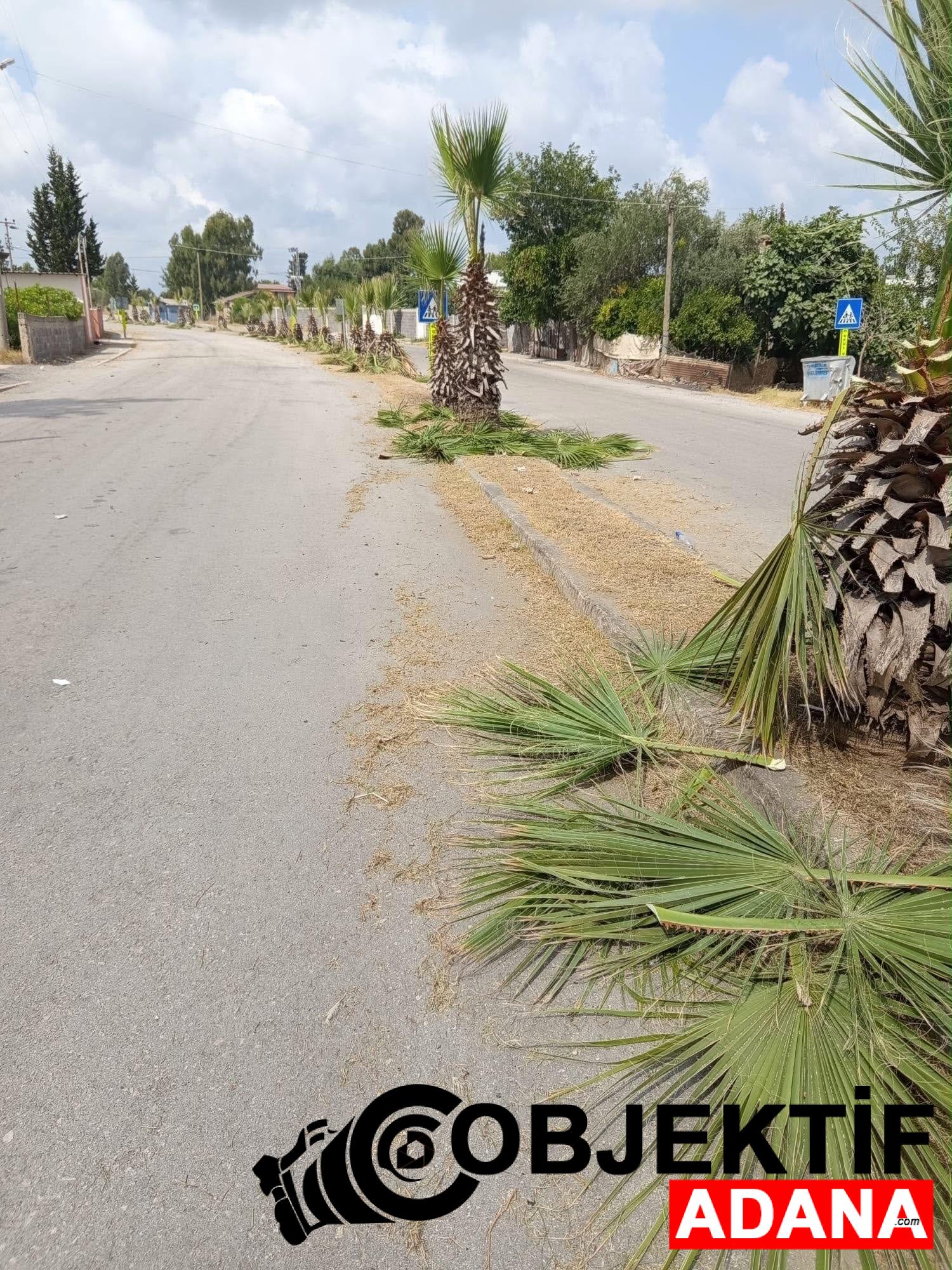 Yumurtalik039ta-Kaldirim-Mahallesi039nde-Temizlik-Seferberligi.jpg