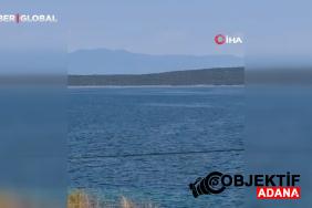 ayvalikta-denizde-kaybolan-genc-icin-arama-kurtarma-calismalari-suruyor-ksrc.jpg