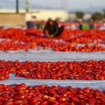 turkiyenin-lezzeti-91-ulkeyi-fethetti-kapis-kapis-satiliyor-zzuq.jpg
