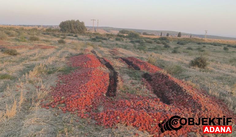 Türkiye ihracatta rekora koştu: Temmuzda tarihi seviye