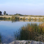 Adana-Karatas039taki-Tarihi-Yaman-Koprusu039ne-Beton-Tepkisi.jpg