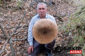 boylesini-ilk-kez-gordu-buldugu-dev-mantar-sepete-sigmadi-nxxf.jpg