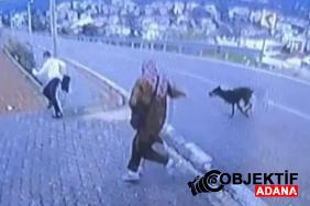 bursada-kopek-dehseti-kacmaya-calisan-cocuk-bacagini-kirdi-69hp.jpg