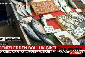 tezgahlarin-en-pahalisi-lufer-ve-sarikanat-koxk.jpg