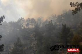 1718886537_308_Adanada-orman-yangini.jpg
