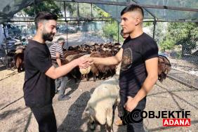 Adanada-kurban-fiyatlari-dusuyor.jpg