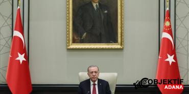337184.jpg