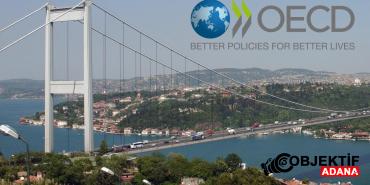 oecd-istanbul-depophotos-1502779-hpfs_cover.jpg
