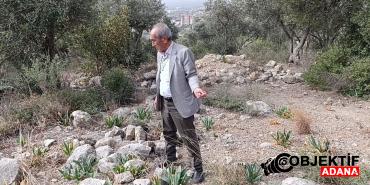 Bakimsiz-bebek-mezarligi-tepkilere-neden-oluyor.jpg
