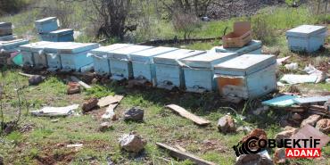 Saimbeyli039de-ari-kovanlarina-ayinin-zarar-verdigi-iddiasi.jpg