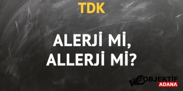 tdkya-gore-alerji-kelimesi-nasil-yazilir-allerji-mi-alerji-mi-oq8x.jpg