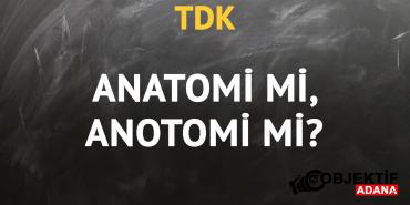 tdkya-gore-anatomi-kelimesi-nasil-yazilir-anotomi-mi-anatomi-mi-x9xq.jpg