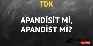 tdkya-gore-apandisit-kelimesi-nasil-yazilir-apandist-mi-apandisit-mi-8ayf.jpg