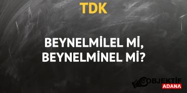 tdkya-gore-beynelmilel-kelimesi-nasil-yazilir-beynelminel-mi-beynelmilel-mi-2lpo.jpg