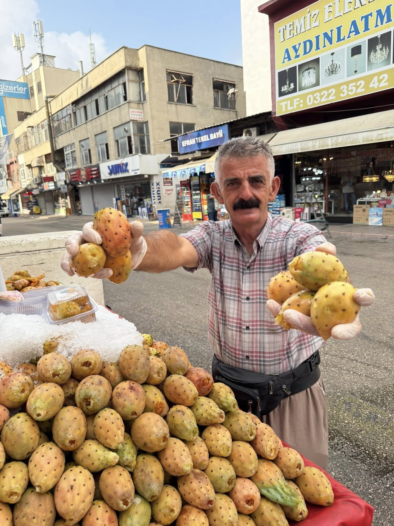 Dikenli Mi Dikensiz Mi Adana’nın İncir Tercihi (2)