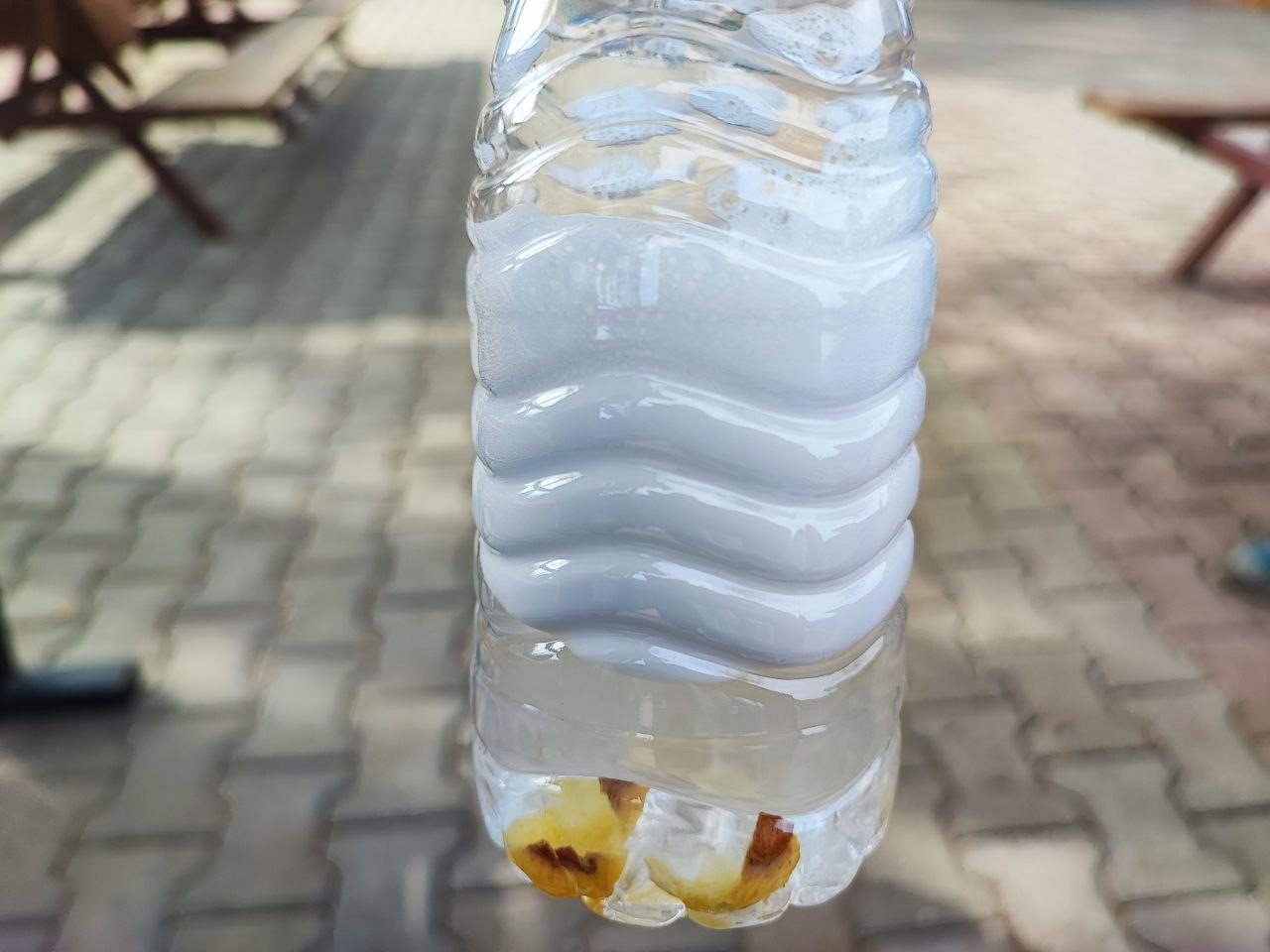 Sıfır Atık Projesi Ceyhan’da Meyvesini Verdi (4)