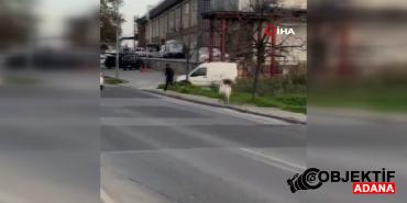 esenyurtta-ilginc-anlar-keci-ogrencileri-boyle-kovaladi-rrru.jpg