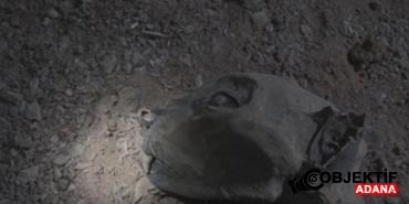 emsalsiz-kesif-magarada-bulundular-yaslari-130-ile-bin-800-yil-arasinda-degisiyor-tqh4.jpg