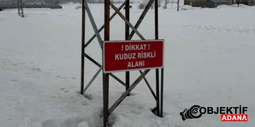 hakkaride-kuduz-alarmi-bir-koy-karantinaya-alindi-grba.jpg