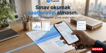puanist (3)
