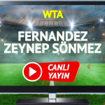 canli-yayin-fernandez-zeynep-sonmez-maci-bein-sports-canli-izle-qkov.jpg