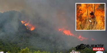 son-1-yilin-verilerine-dikkat-akdenizde-yine-yangin-mevsimi-mi-obih.jpg