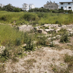 20-donumluk-araziden-tarih-fiskirdi-villa-yapacakti-roma-mezari-cikti-czbk.jpg