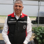 Cukurova039nin-verimli-topraklarinda-kahve-de-yetistirilecek.jpg