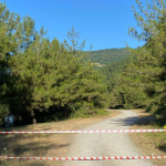 ankarada-ormanlik-alanlara-girisler-30-eylule-kadar-yasaklandi-jtcn.jpg