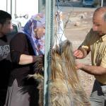 kurban-bayrami-oncesi-kritik-uyari-bu-hatanin-bedeli-29-bin-tl-ctzk.jpg