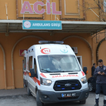 mardinde-geri-manevra-faciasi-amcasinin-aracinin-altinda-kalan-kucuk-kumsal-hayatini-kaybetti-e92f.j.jpeg