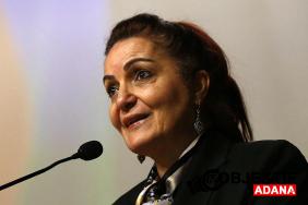 prof-dr-aygun-attardan-azerbaycan-karsiti-metsolaya-acik-mektup-0yr2.jpg