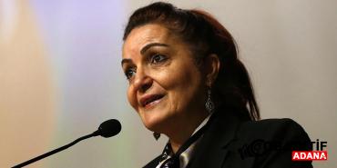 prof-dr-aygun-attardan-azerbaycan-karsiti-metsolaya-acik-mektup-0yr2.jpg