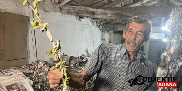 40-gunde-216-bin-tl-kazandiran-is-60-yildir-evinin-altinda-uretiyor-wo29.jpg