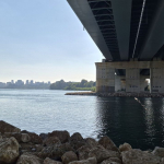 Adana039da-nehre-giren-genc-boguldu.jpg