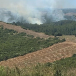 Adana039da-park-halindeki-aracta-cikan-yangin-ormanlik-alana-sicradi.jpg