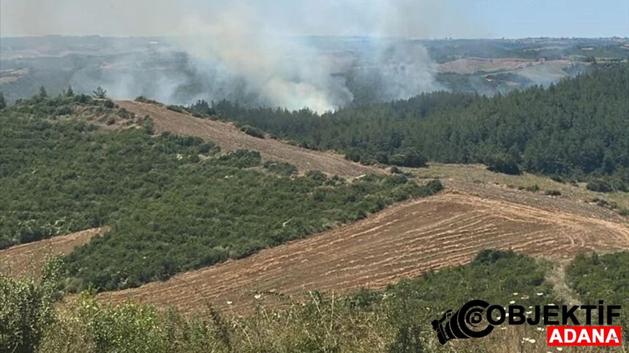 Adana039da-park-halindeki-aracta-cikan-yangin-ormanlik-alana-sicradi.jpg