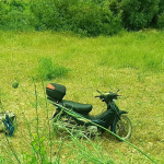 Adana039da-sarampole-devrilen-motosikletteki-2-kisi-yaralandi.jpg